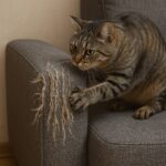 Image 2025-11-25 à 20.33